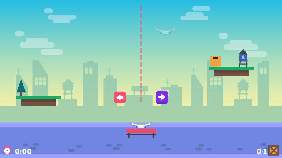 Drone Pickup Service